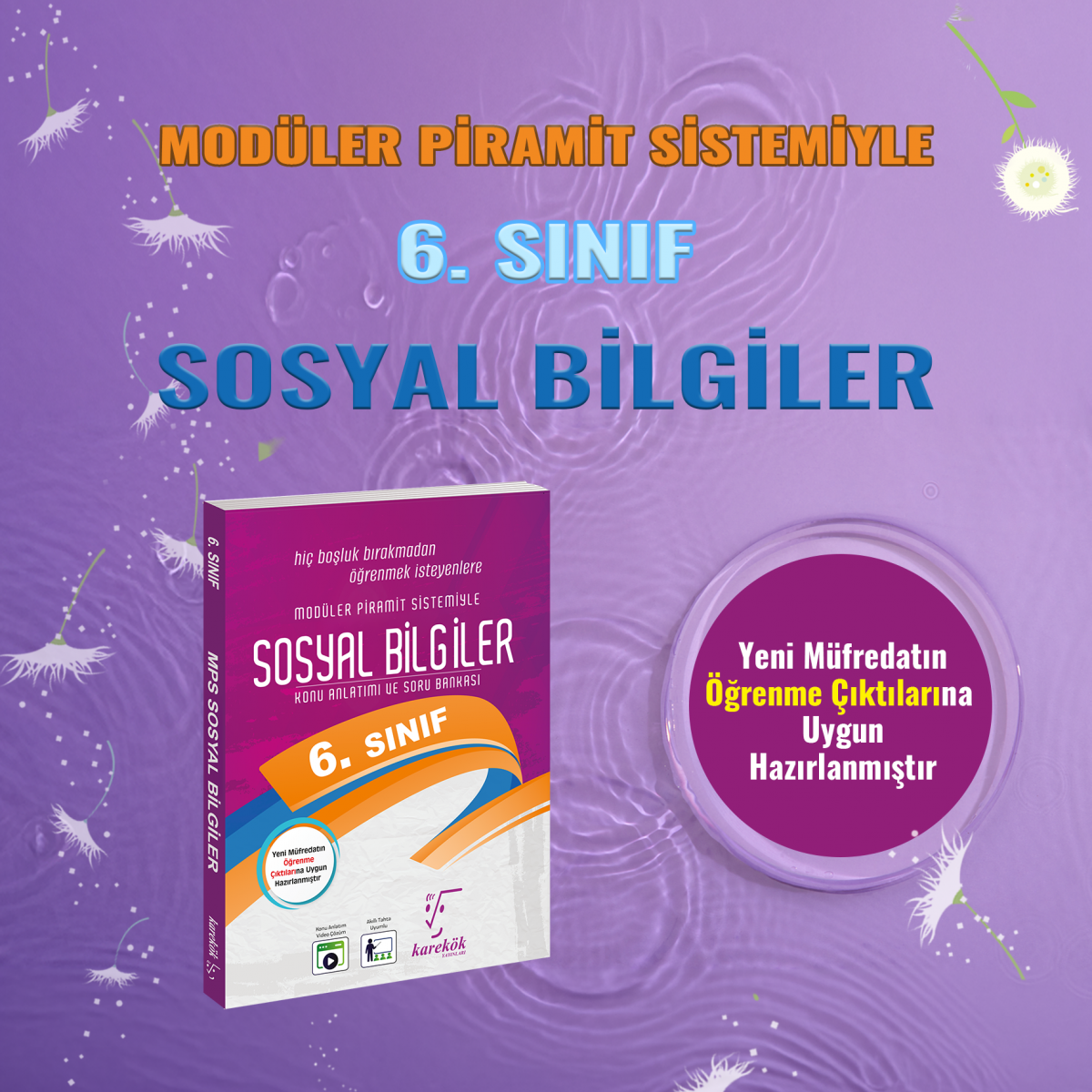 6. SINIF SOSYAL BİLGİLER MPS